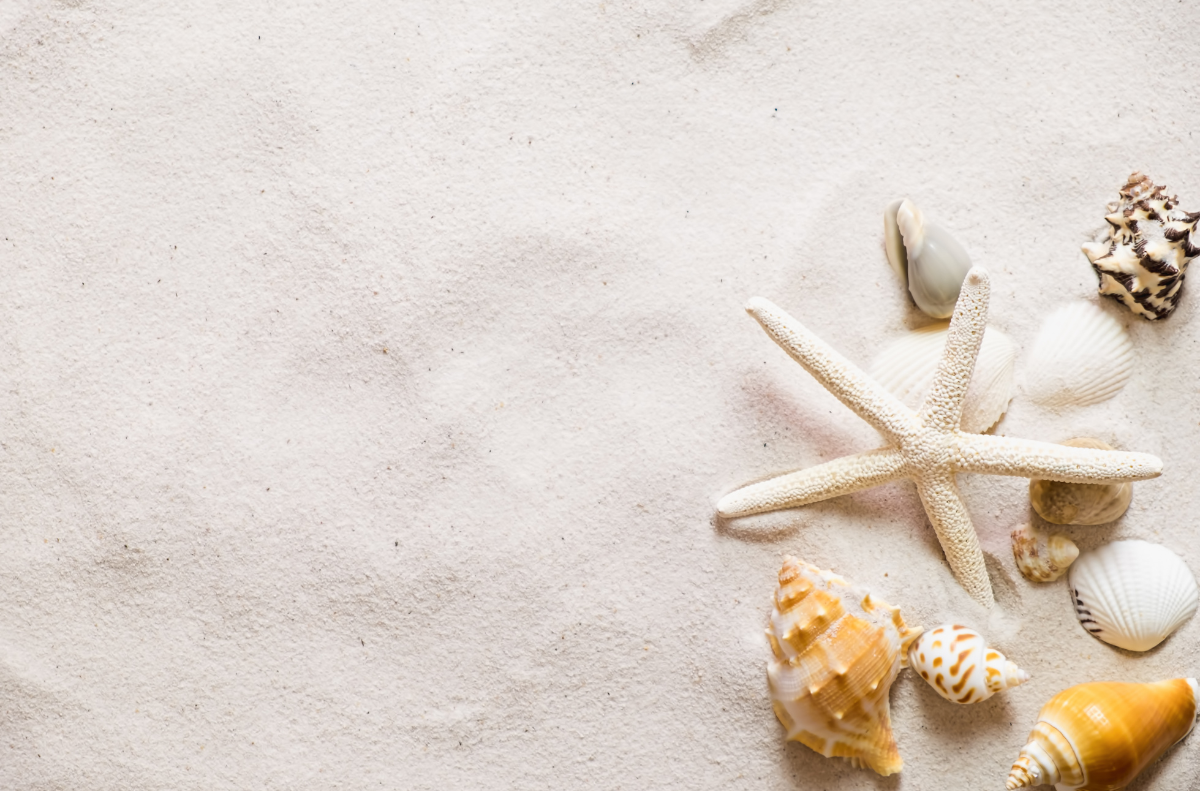 The Sunscreen Chronicles: Your Go-To Guide for Dodging the Sun's Sneaky Tricks