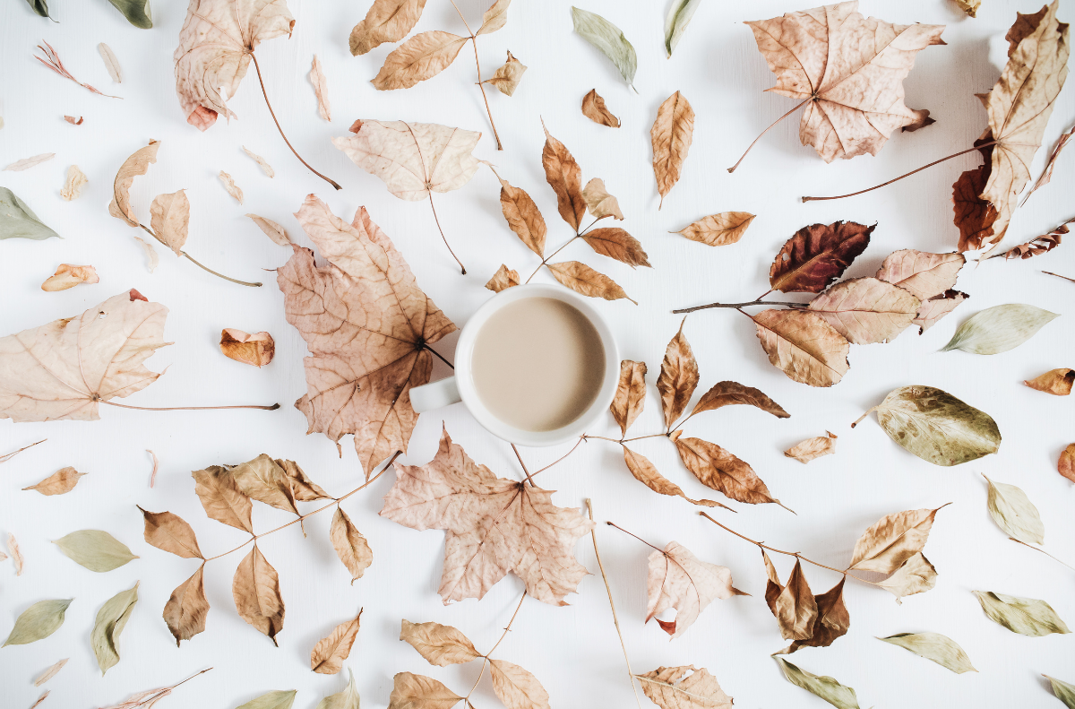 Your Guide to Exfoliants this Fall